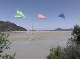 IMG_20200601_113408